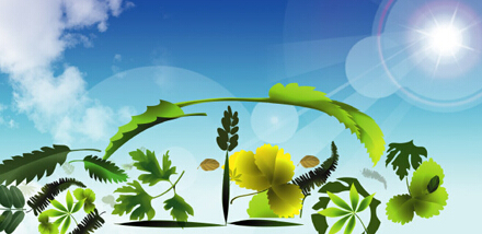 企業品牌設計有奇招