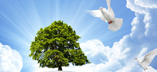 品牌設計公司在社會上有什么用途？