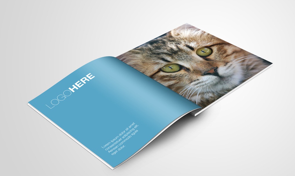 企業畫冊設計的價格范圍