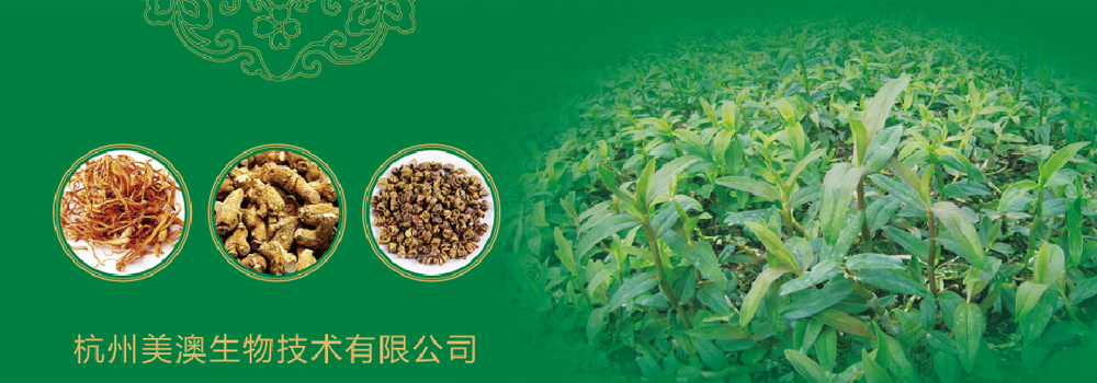 杭州產品策劃公司的市場渠道