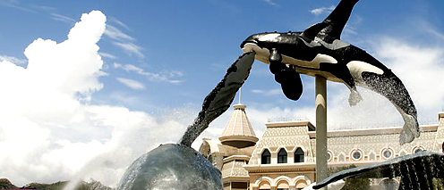 杭州品牌設(shè)計(jì)