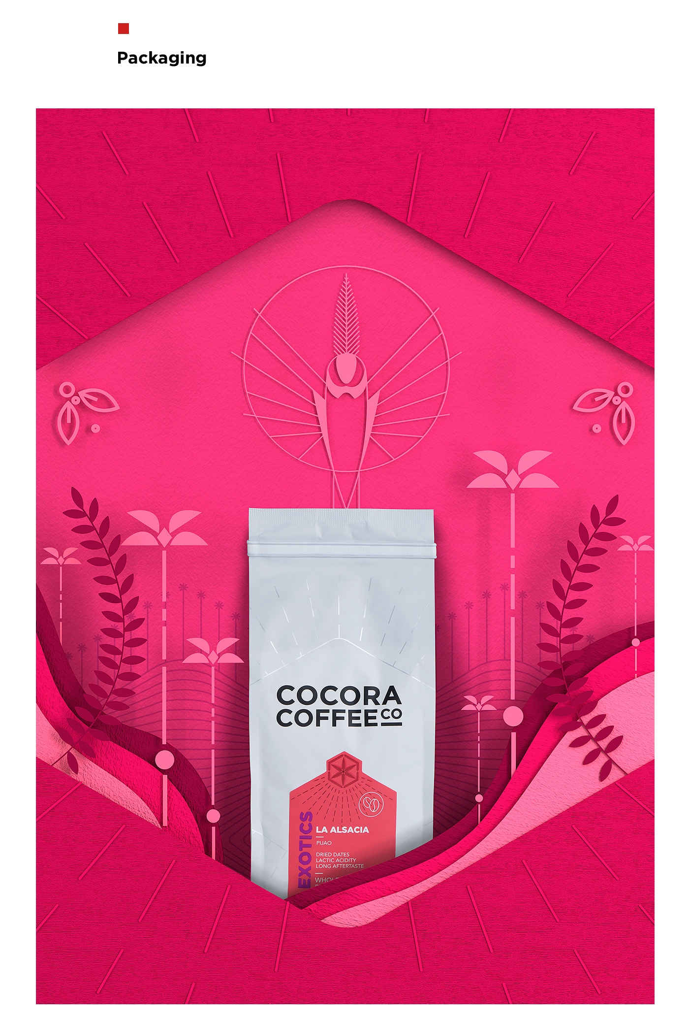 為一個咖啡杯，一個街角咖啡店，做整體的品牌包裝設(shè)計(jì)